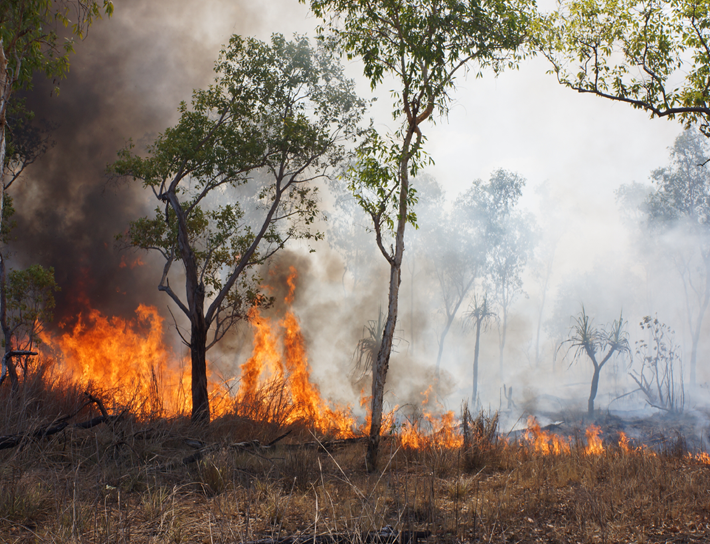 Réunion publique : situation suite à l’incendie