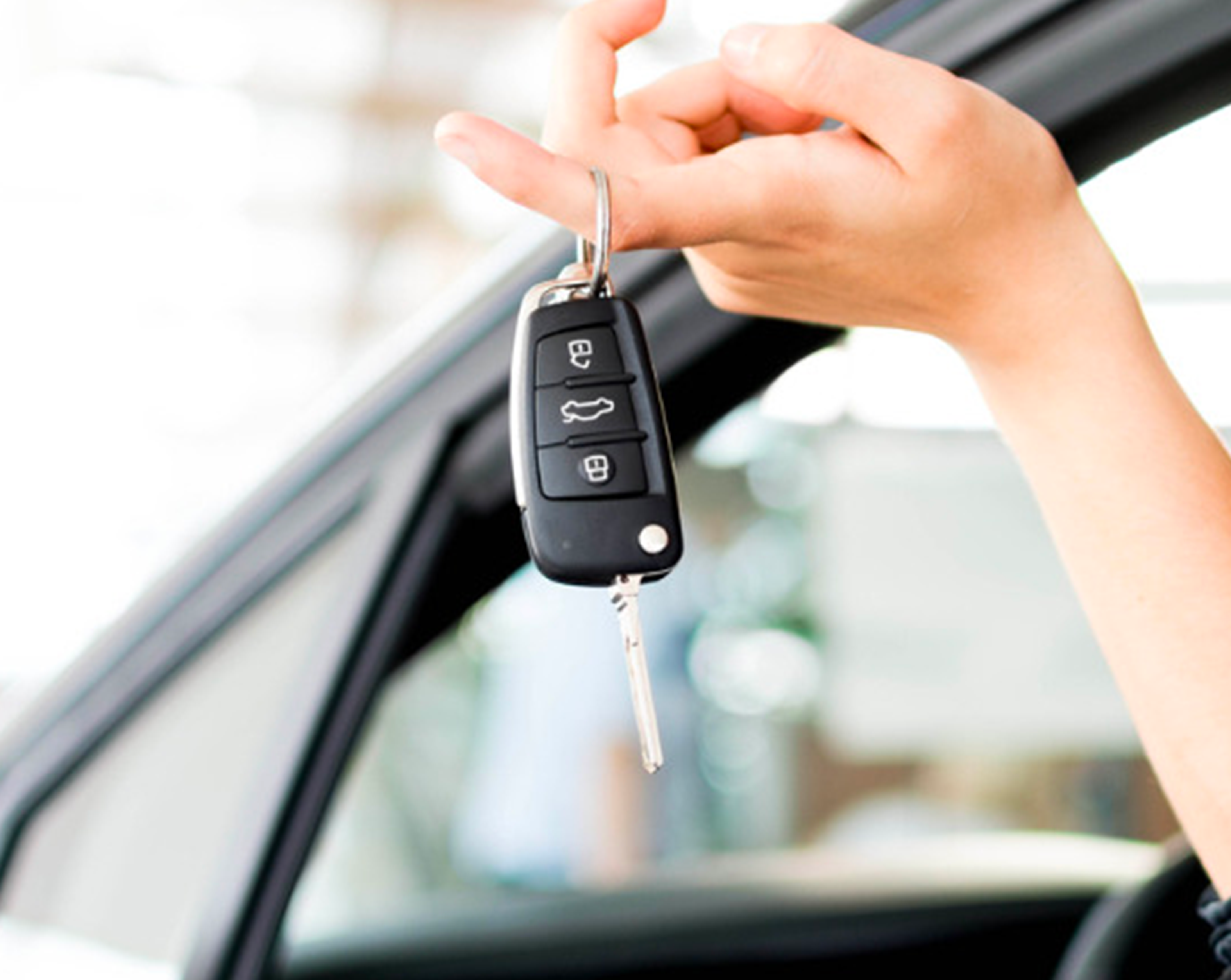 Permis de Conduire 2024