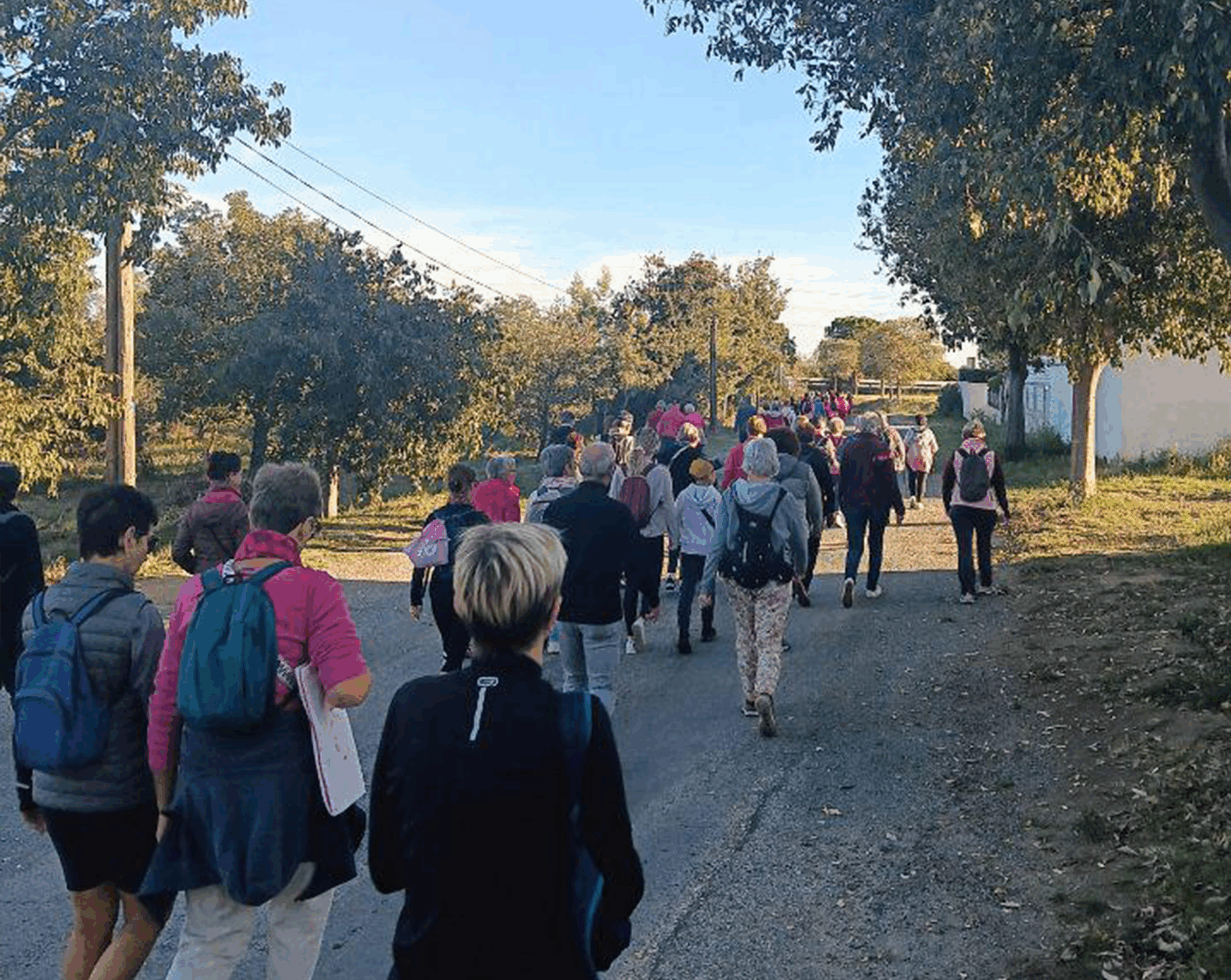 Inscription Marche Rose 2025