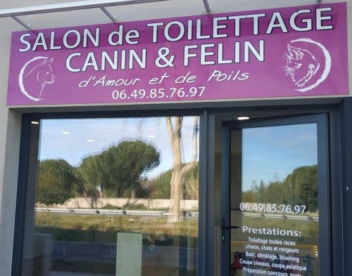 D’AMOUR ET DE POILS