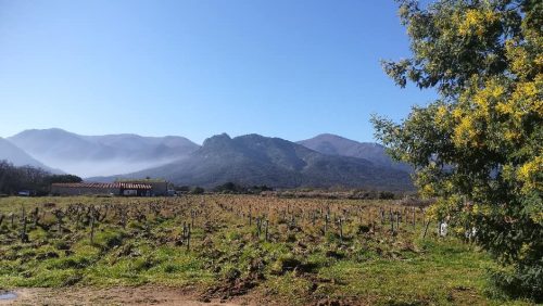 DOMAINE LEONINE