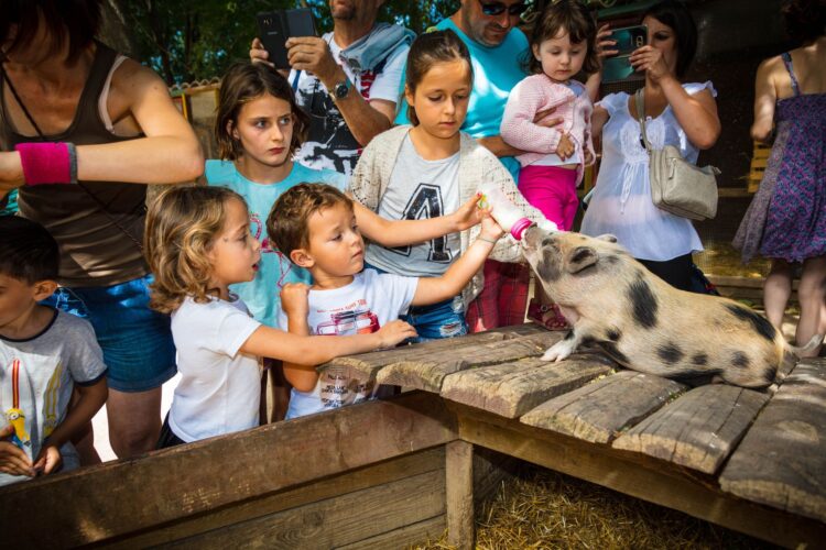 FERME DE DECOUVERTE 