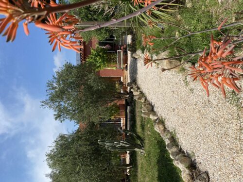 MAISON D’HÔTES L’OLIVETTE DES ALBÈRES