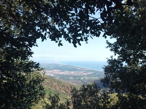 ALBÈRES