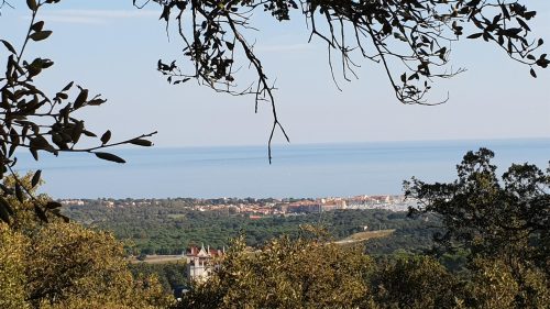 ALBÈRES