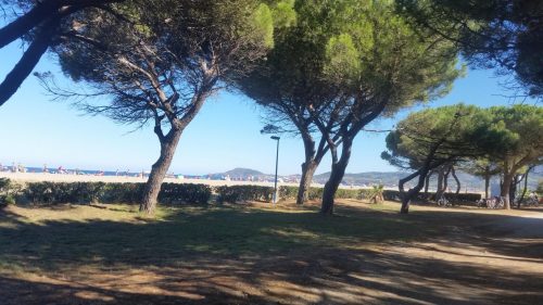 ALBÈRES