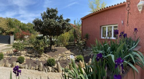 GÎTE L’OLIVETTE DES ALBÈRES