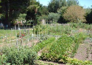 LES JARDINS FAMILIAUX ALS HORTS DE LA FOUNT