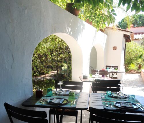 LE JARDIN DES SIMPLES